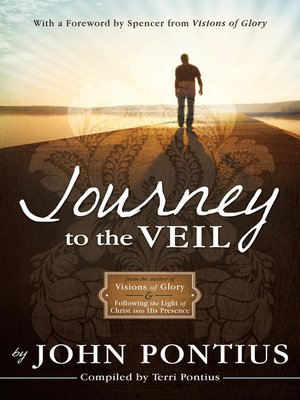 cover image of Journey to the Veil